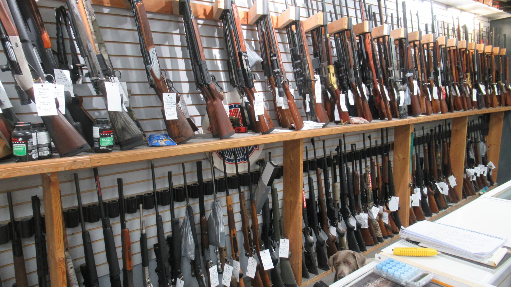 Wall of new and used rifles and shotguns at Accuracy Plus